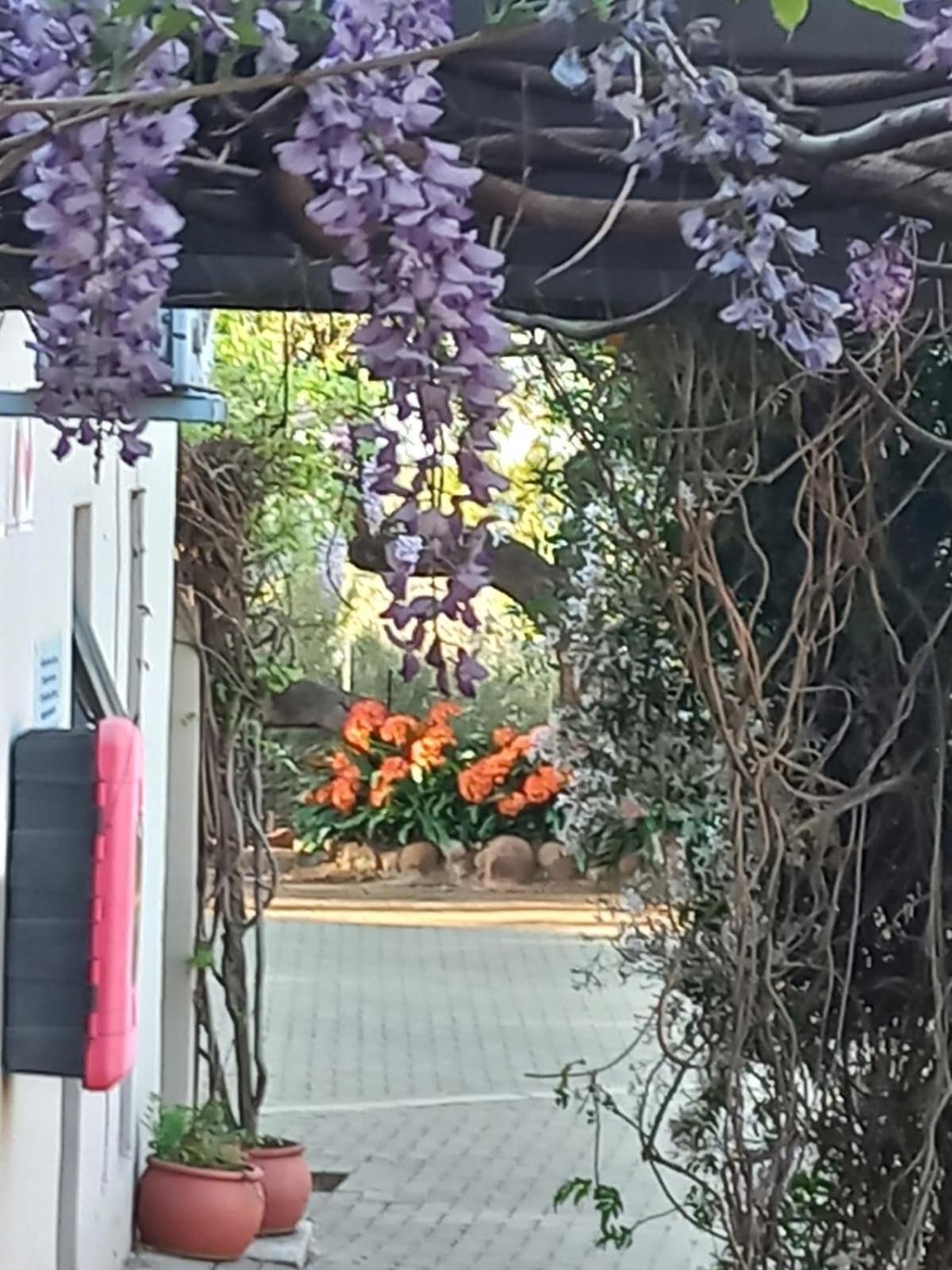 A Little Guesthouse Bloemfontein Dış mekan fotoğraf